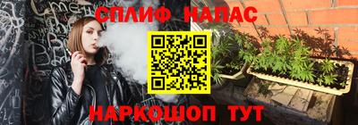 гидропоника Пугачёв