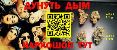 дживик Пенза